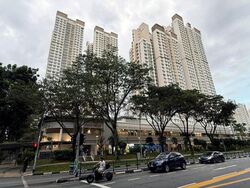 Blk 10A Tiong Bahru View (Bukit Merah), HDB 4 Rooms #519263231